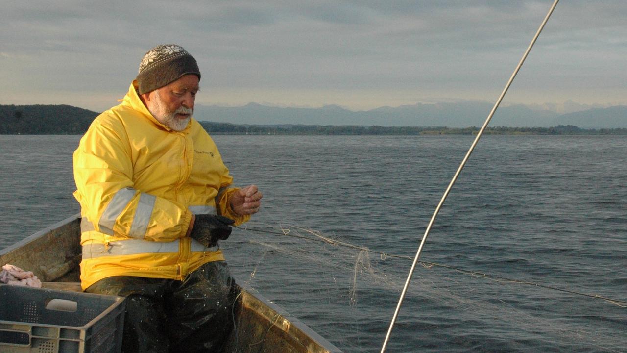 So früh wie er fährt keiner auf den Ammersee. Der Fischer Klaus Marx aus Utting. So früh wie er fährt keiner auf den Ammersee. Der Fischer Klaus Marx aus Utting.