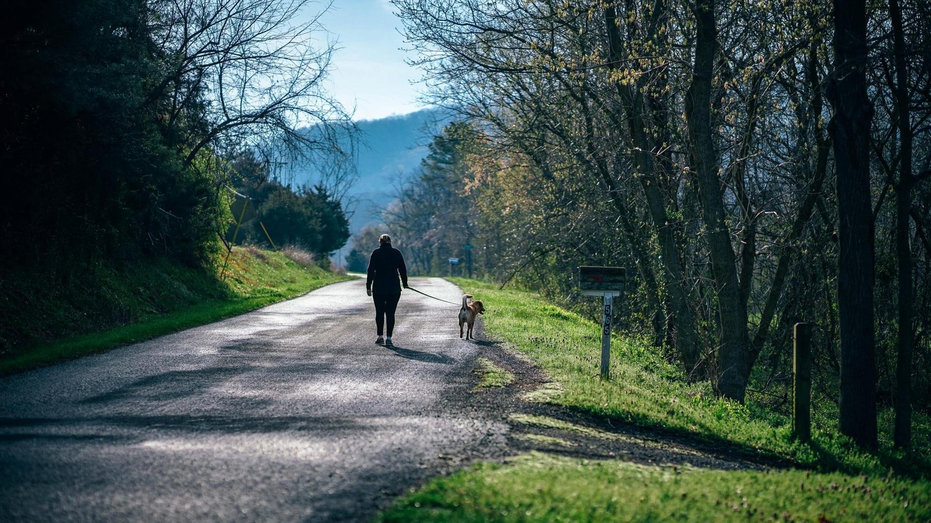 Eine Person macht mit seinem Hund einen Spaziergang. Er geht eine einsame Straße entlang, rechts und links ist Wald, die Sonne scheint. Eine Person macht mit seinem Hund einen Spaziergang. Er geht eine einsame Straße entlang, rechts und links ist Wald, die Sonne scheint.