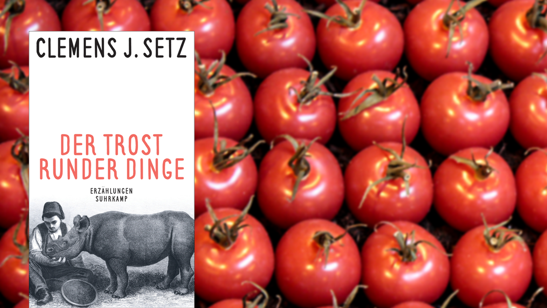 Cover von Clemens J. Setz "Der Trost runder Dinge", im Hintergrund sind rote Tomaten zu sehen Cover von Clemens J. Setz "Der Trost runder Dinge", im Hintergrund sind rote Tomaten zu sehen