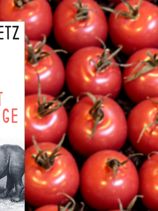 Cover von Clemens J. Setz "Der Trost runder Dinge", im Hintergrund sind rote Tomaten zu sehen