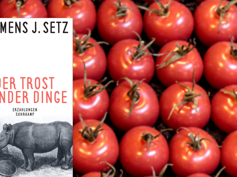 Cover von Clemens J. Setz "Der Trost runder Dinge", im Hintergrund sind rote Tomaten zu sehen