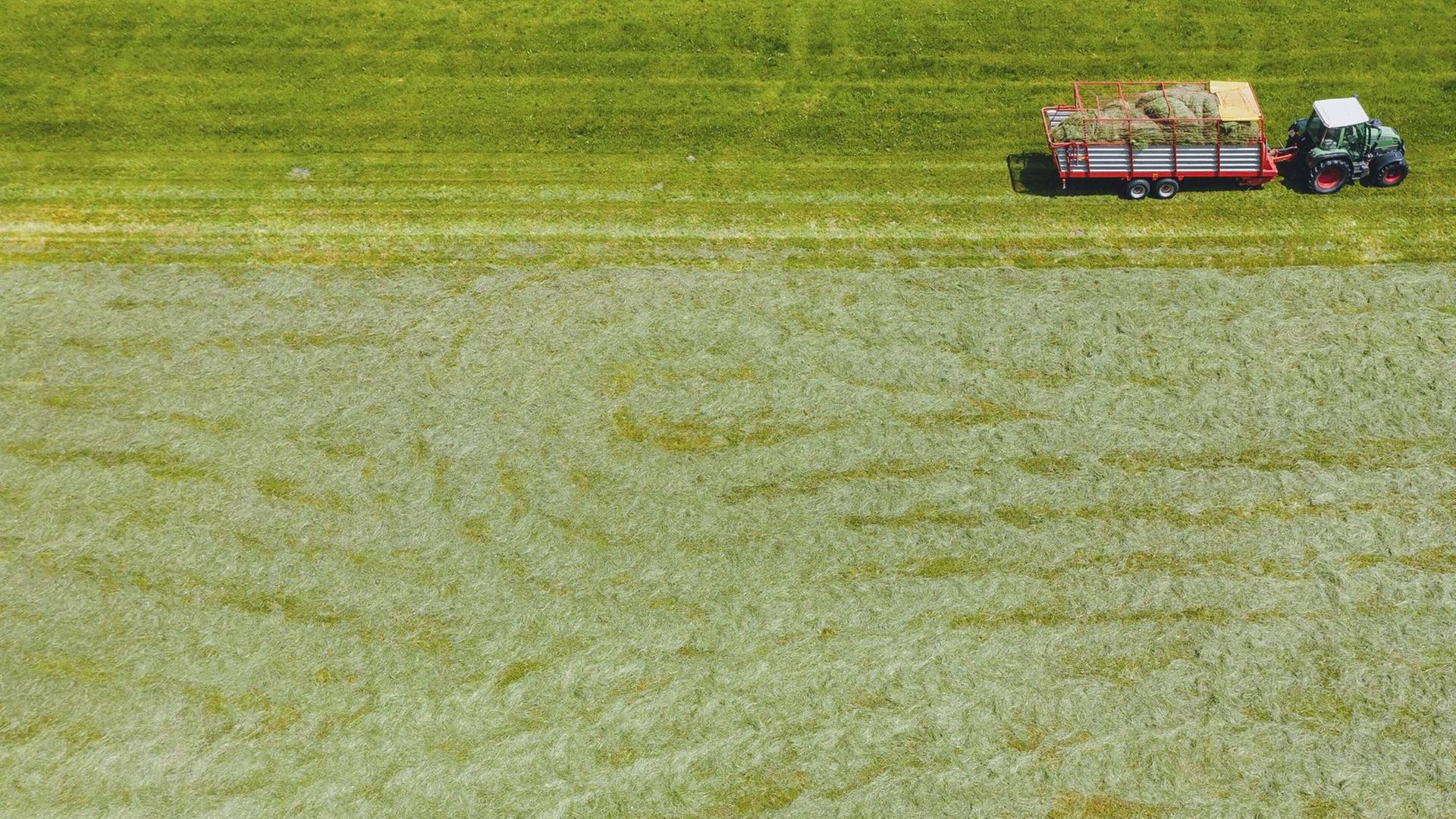 Luftbild von einem Landwirt, der mit seinem Traktor über eine Wiese fährt. Luftbild von einem Landwirt, der mit seinem Traktor über eine Wiese fährt.