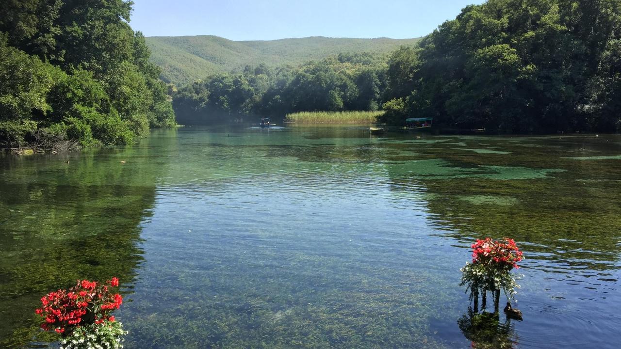 Quelle des Ohridsees bei Sveti Naum. Quelle des Ohridsees bei Sveti Naum.