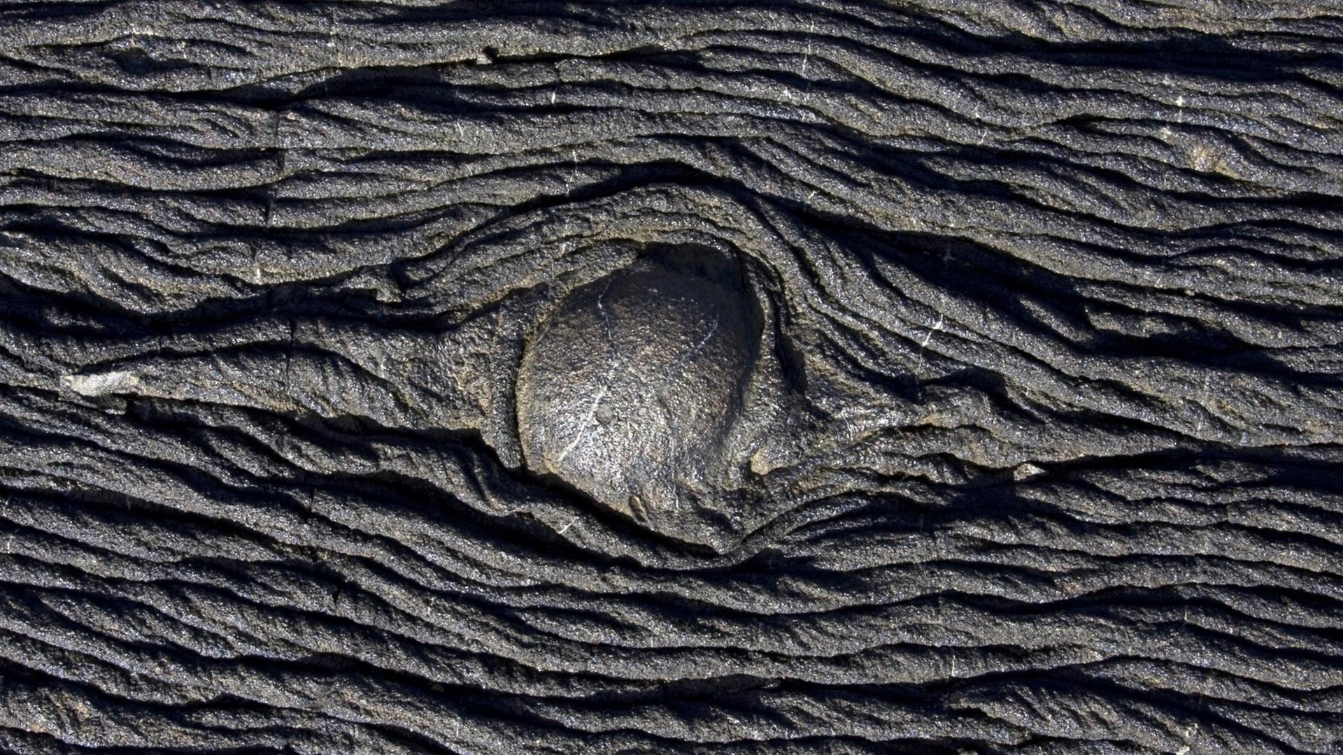 Pahoehoe Lava auf den Galapagos-Inseln