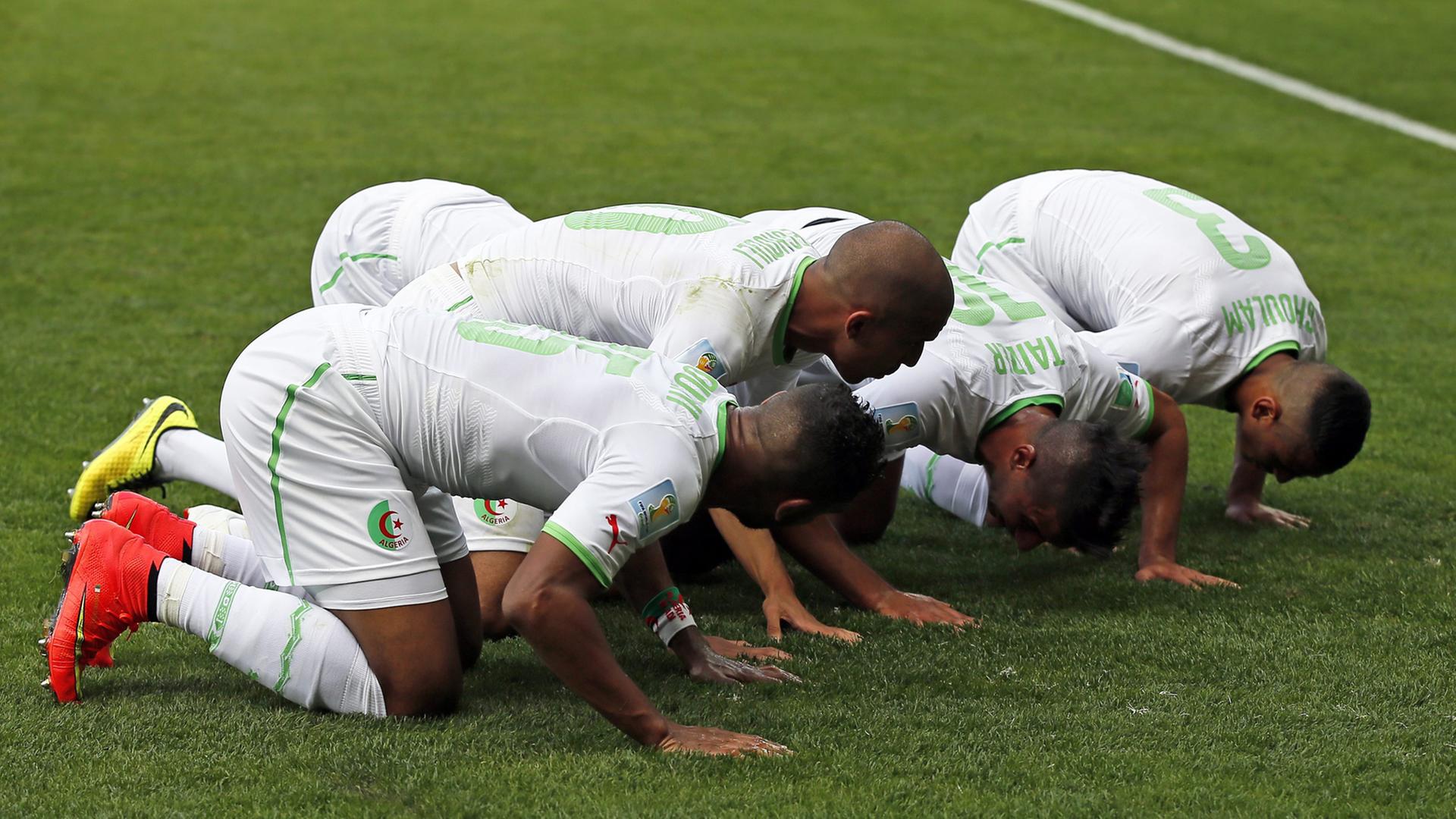Algerische Spieler feiern das 1:0 im WM-Spiel gegen Belgien in Belo Horizonte. Algerische Spieler feiern das 1:0 im WM-Spiel gegen Belgien in Belo Horizonte.