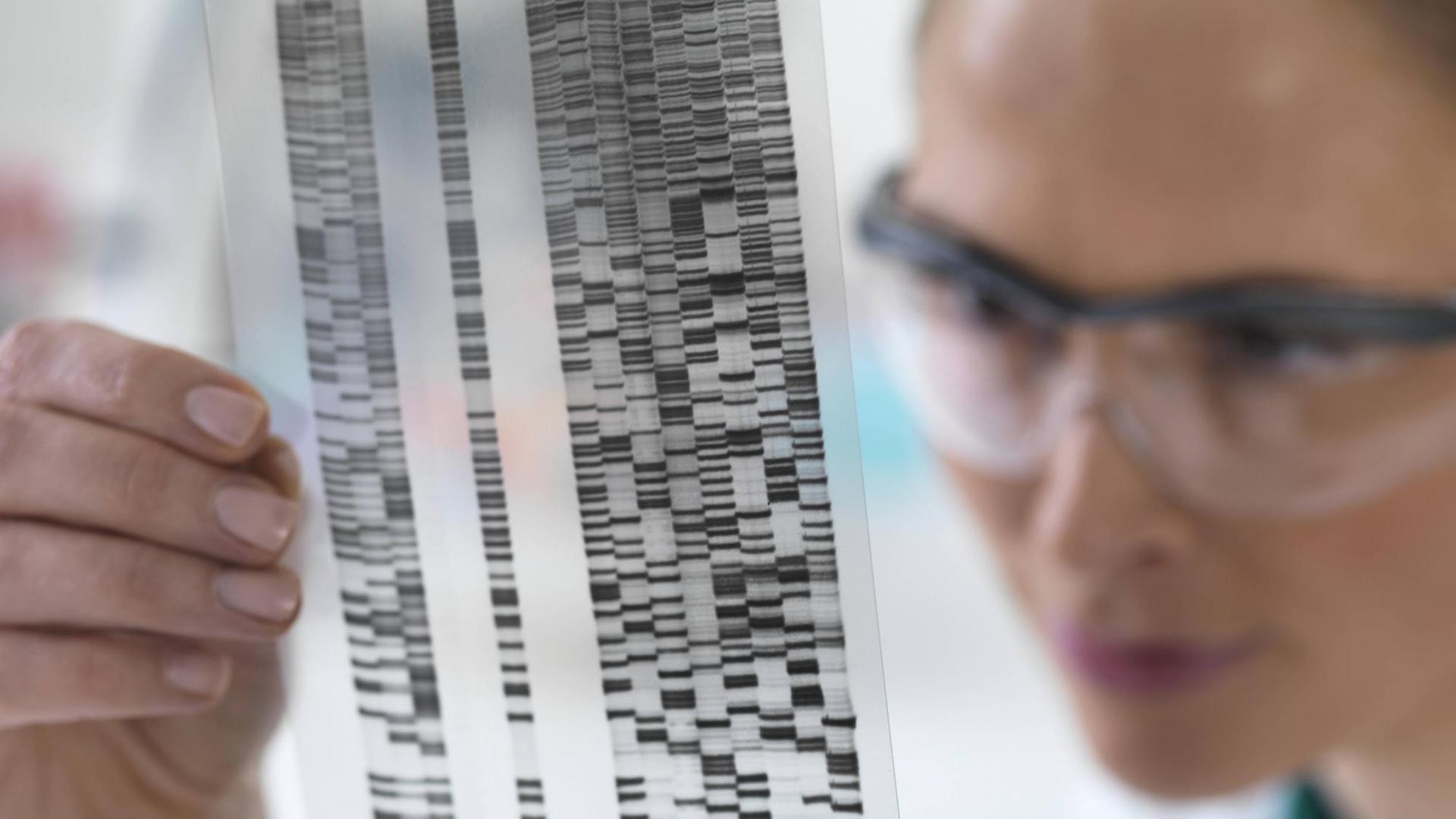 Wissenschaftlerin schaut sich DNA-Ergebnisse auf einem Streifen an (Symbolbild)