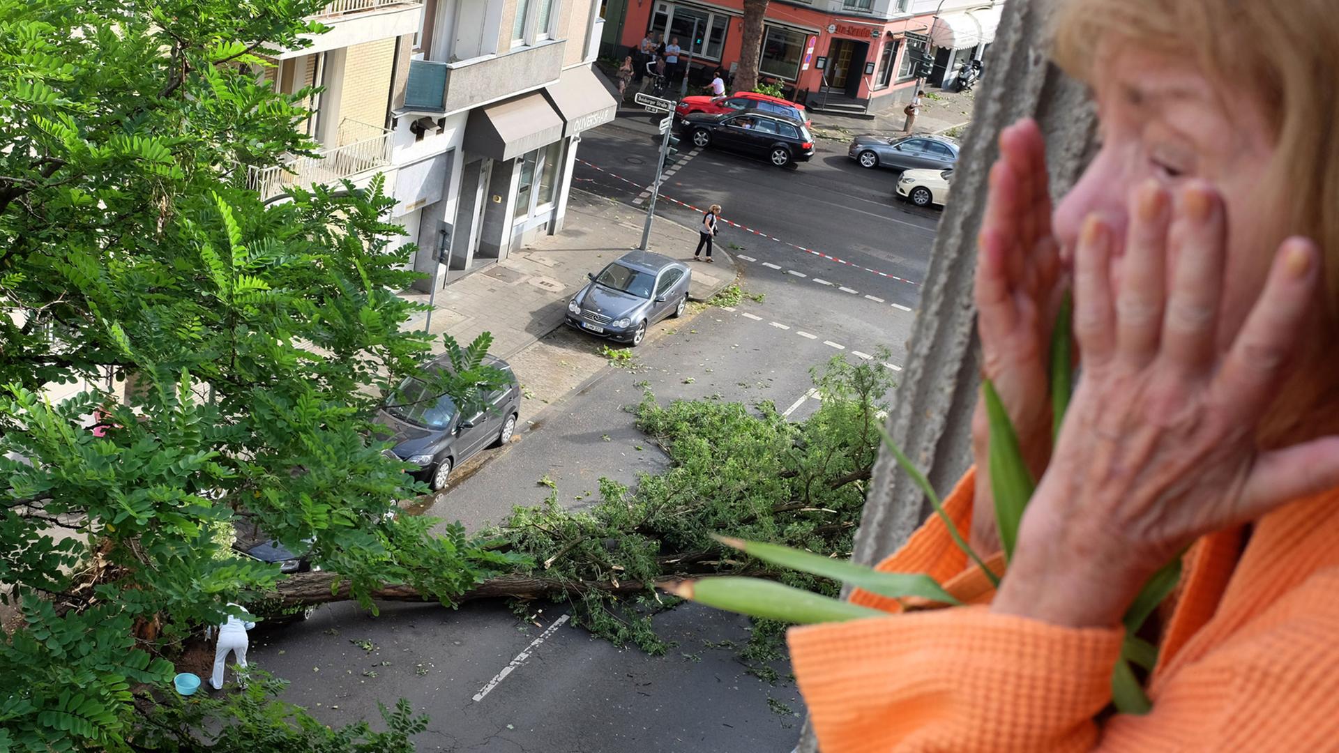 Ein Frau schaut am 10.06.2014 in Düsseldorf (Nordrhein-Westfalen) aus ihrem Fenster auf die Sturmschäden der Nacht. Beim schwersten Unwetter in Nordrhein-Westfalen seit Jahren sorgten Sturmböen, Blitzeinschläge und Hagel an vielen Häusern und Autos für Schäden. Ein Frau schaut am 10.06.2014 in Düsseldorf (Nordrhein-Westfalen) aus ihrem Fenster auf die Sturmschäden der Nacht. Beim schwersten Unwetter in Nordrhein-Westfalen seit Jahren sorgten Sturmböen, Blitzeinschläge und Hagel an vielen Häusern und Autos für Schäden.