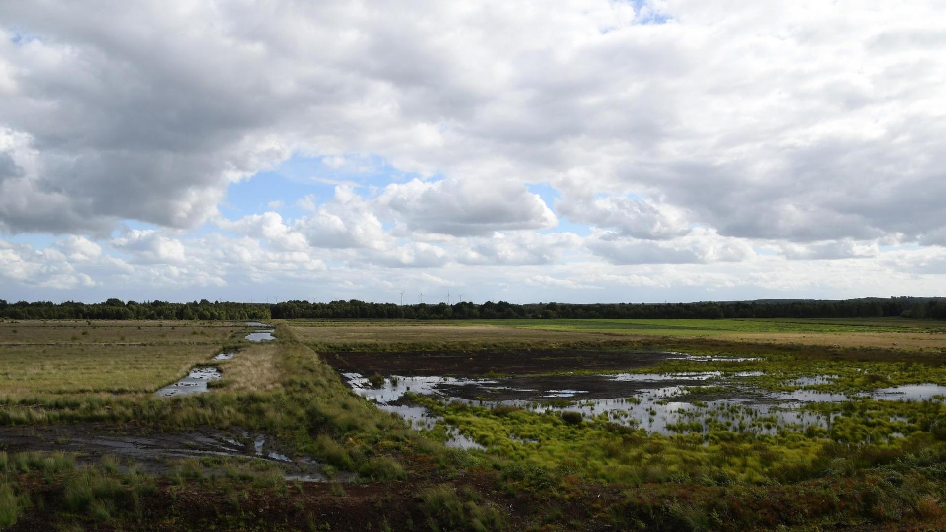 Das Papenburger Moor Das Papenburger Moor