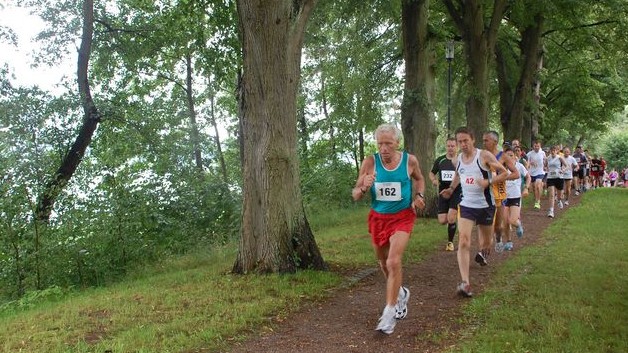 Eine Gruppe von Läufern läuft eine Allee in Brandenburg entlang. Eine Gruppe von Läufern läuft eine Allee in Brandenburg entlang.