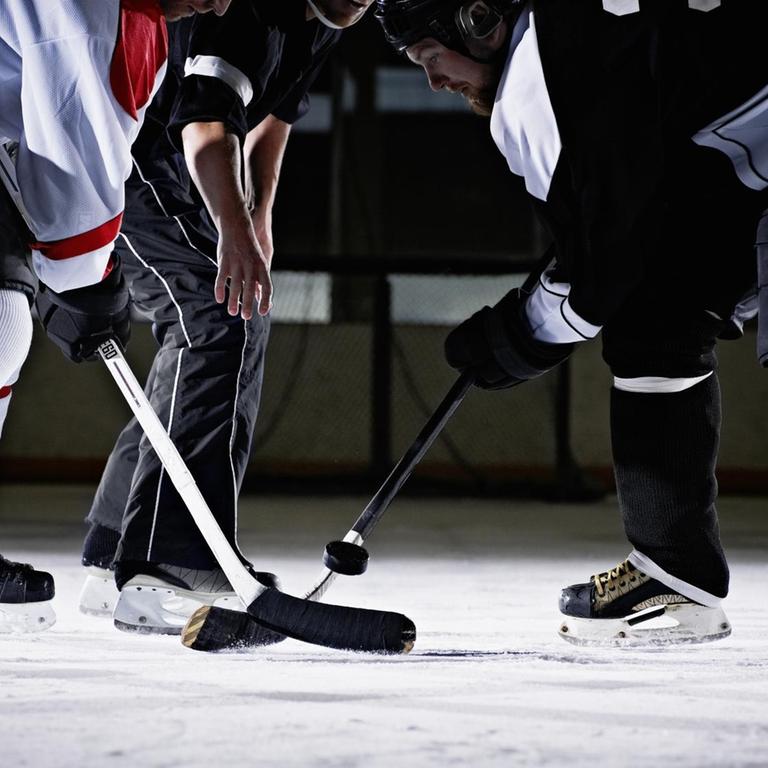 Der Eishockeypuck wird vom Schiedsrichter eingeworfen, zwei Spieler kämpfen darum.