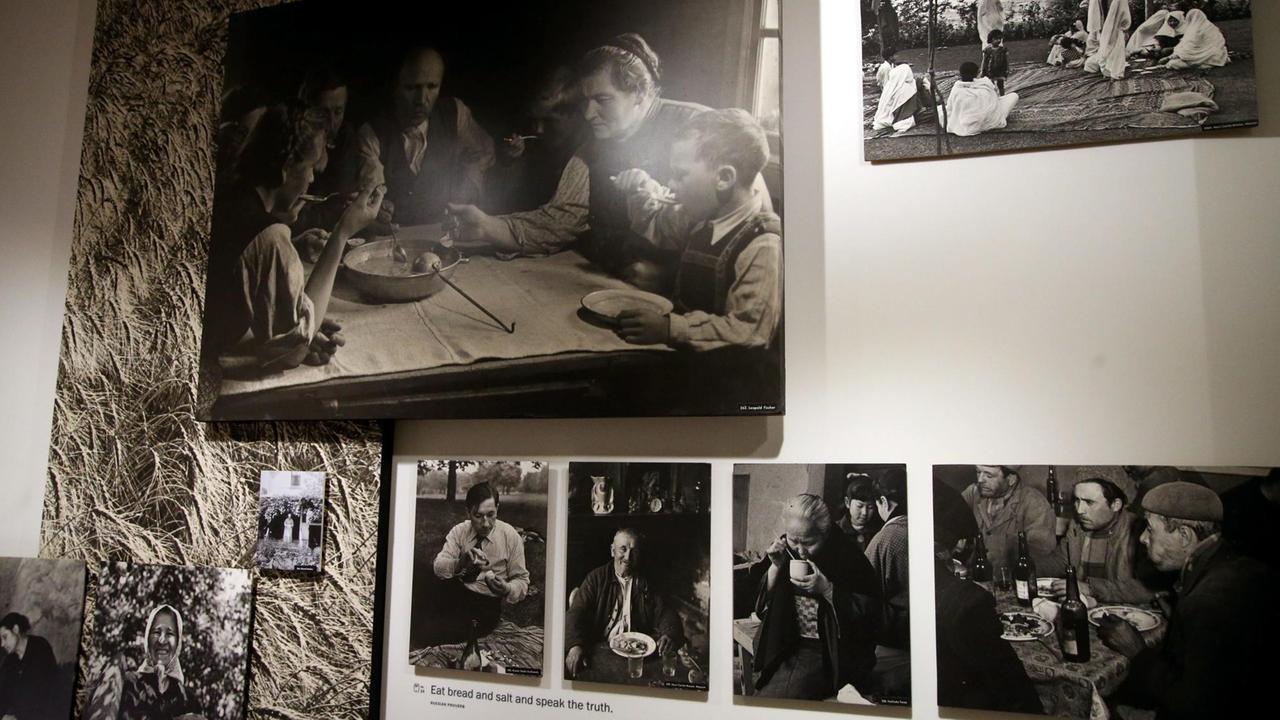 Fotos der Ausstellung "Family of Man" Fotos der Ausstellung "Family of Man"