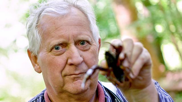 Klaus Hidde, Fischer, zeigt einen Amerikanischen Flusskrebs im Tiergarten. Um den Bestand der Krebse in den Gewässern im Tiergarten und im Britzer Garten zu verringern, hat nun ein Fischereibetrieb die Erlaubnis zum Fang der Tiere bekommen