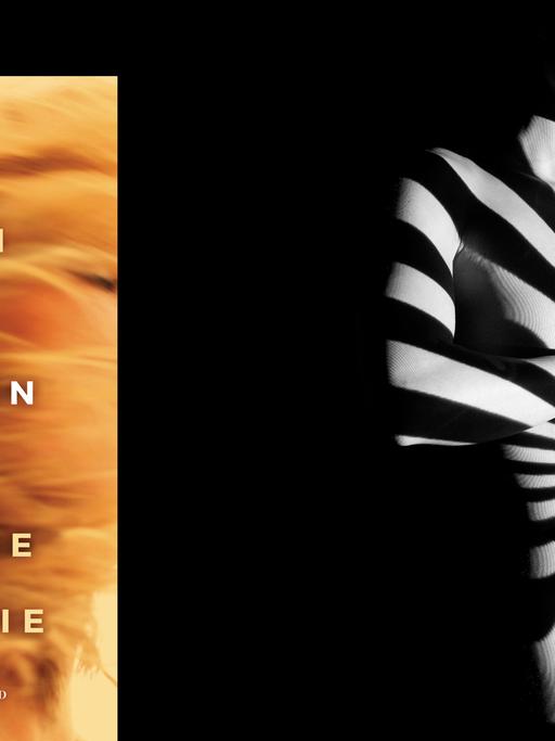 Im Vordergrund: Das Cover des Buches. Im Hintergrund: Zebrastreifen aus Licht über dem Körper einer Frau.