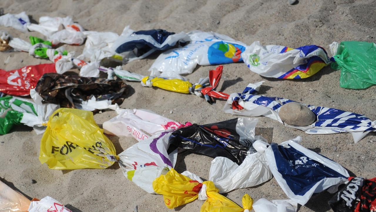 Mehr als 5000 gebrauchte Plastiktüten am Strand von Niendorf in Schleswig-Holstein, Aufnahme vom Juli 2013 Mehr als 5000 gebrauchte Plastiktüten am Strand von Niendorf in Schleswig-Holstein, Aufnahme vom Juli 2013