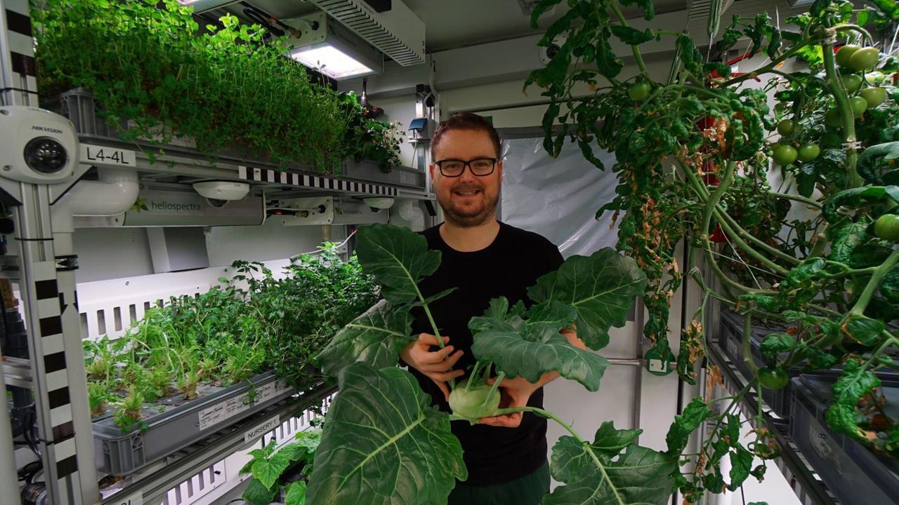 Frischer Kohlrabi in der Antarktis: DLR-Forscher Paul Zabel mit reicher Ernte im Polar-Gewächshaus EDEN Frischer Kohlrabi in der Antarktis: DLR-Forscher Paul Zabel mit reicher Ernte im Polar-Gewächshaus EDEN