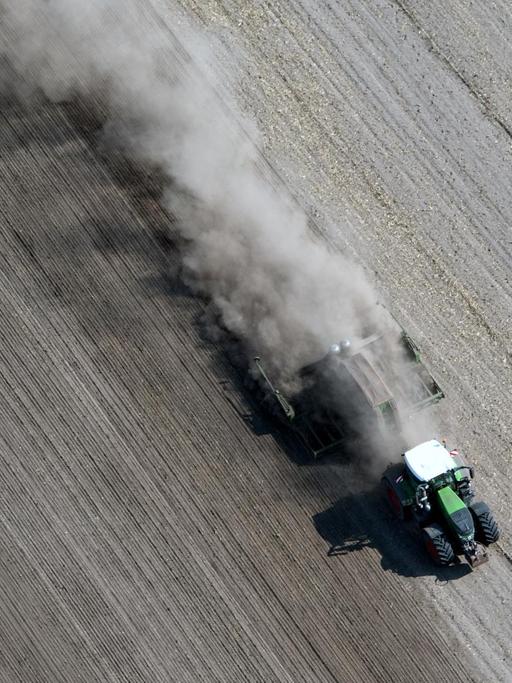 Eine dichte Staubwolke zieht ein Traktor bei Feldarbeiten in Schönhagen in Brandenburg hinter sich her, aufgenommen im August 2018