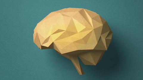 Vor türkisem Hintergrund ist ein aus Pappe gebasteltes Gehirn zu sehen.