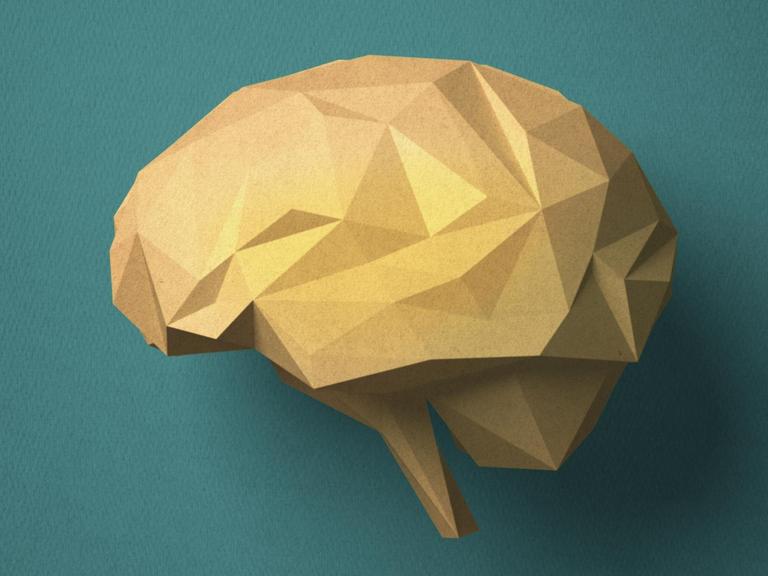 Vor türkisem Hintergrund ist ein aus Pappe gebasteltes Gehirn zu sehen.