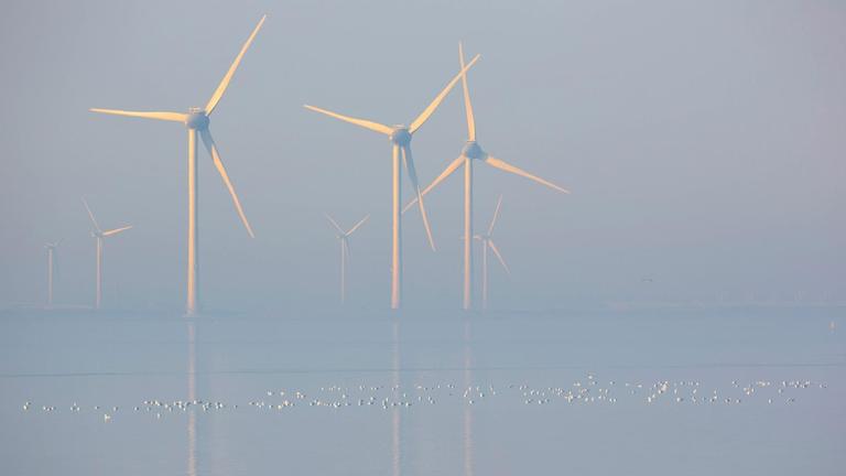 Blick auf den Offshore-Windpark von Neeltje Jans im Morgennebel.