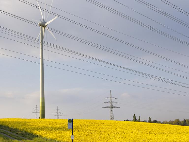 Ein Windkraftwerk neben einem Strommast inmitten eines Rapsfeldes unter blauem Himmel