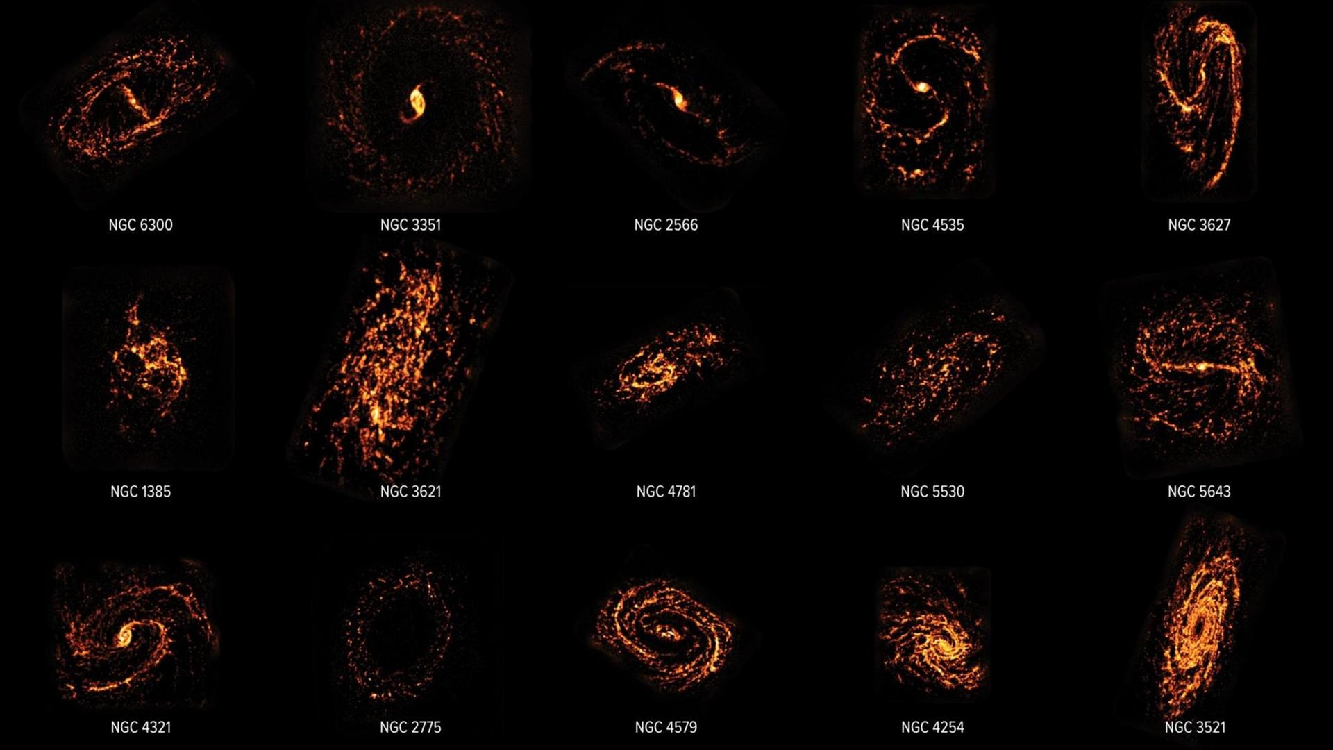 Einige Galaxien im Licht des Kohlenmonoxid