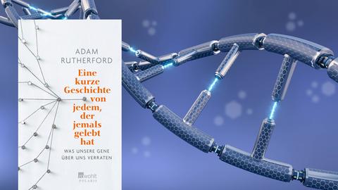 Im Vordergrund: Cover des Buches "Eine kurze Geschichte von jedem, der jemals gelebt hat. Was unsere Gene über uns verraten", im Hintergrund das Modell einer DNA.