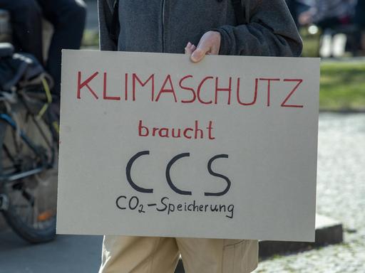 Schild mit der Aufschrift "Klimaschutz braucht CCS CO2 Speicherung" auf der Fridays for Future Demo in München am 22.3.2019