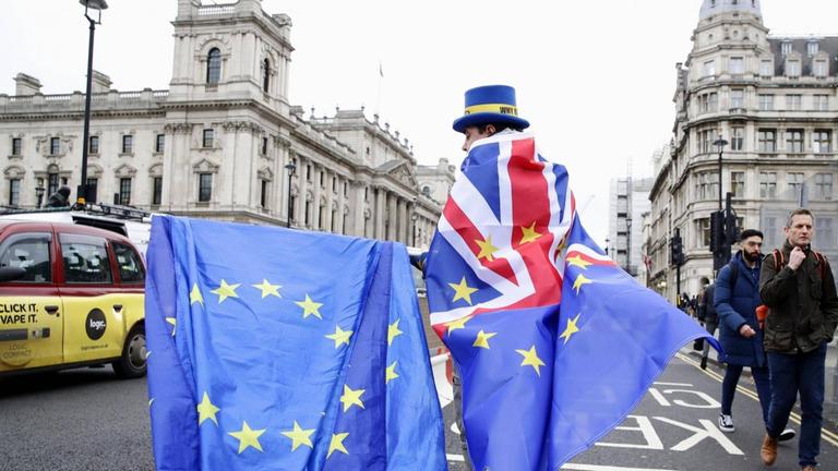 Ein Anti-Brexit-Demonstrant am 30. Januar 2020 in London, England