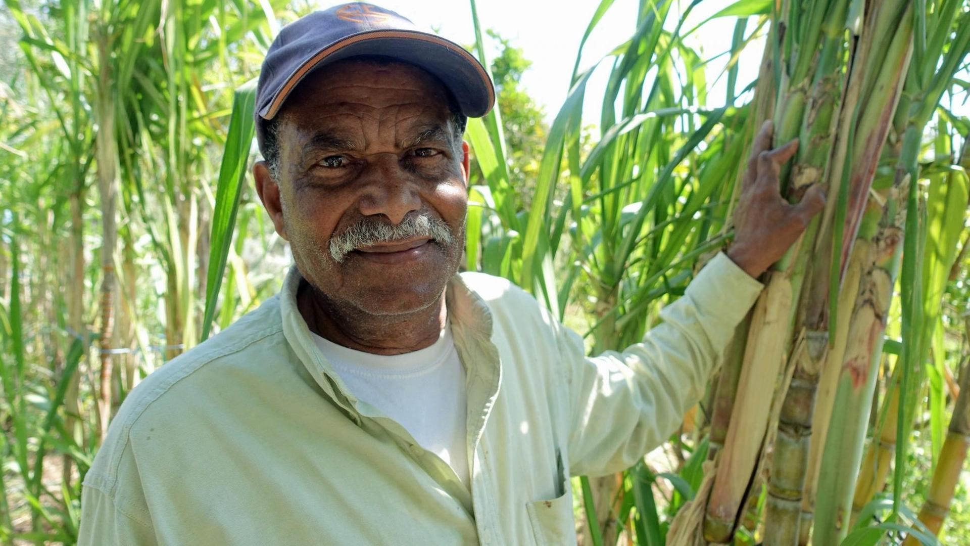 Ein Stückchen Kapverden in Lissabon: Manuel Santos vor Zuckerrohrpflanzen in seinem Garten