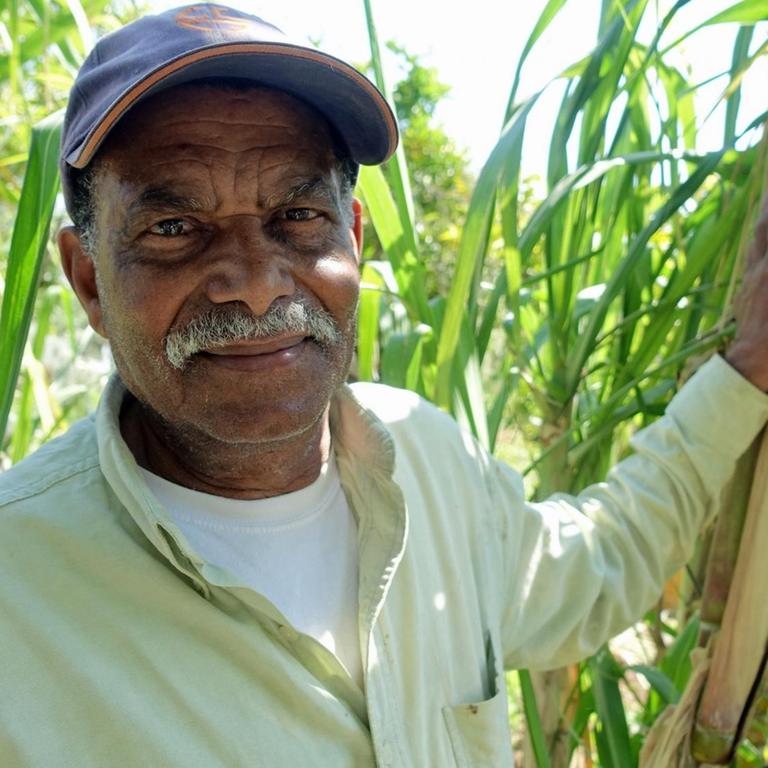 Ein Stückchen Kapverden in Lissabon: Manuel Santos vor Zuckerrohrpflanzen in seinem Garten