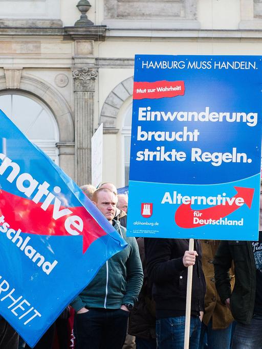 Anhänger der Partei Alternative für Deutschland (AfD) halten in Hamburg während einer Kundgebung Fahnen und ein Plakat mit der Aufschrift "Einwanderung braucht strikte Regeln" hoch.