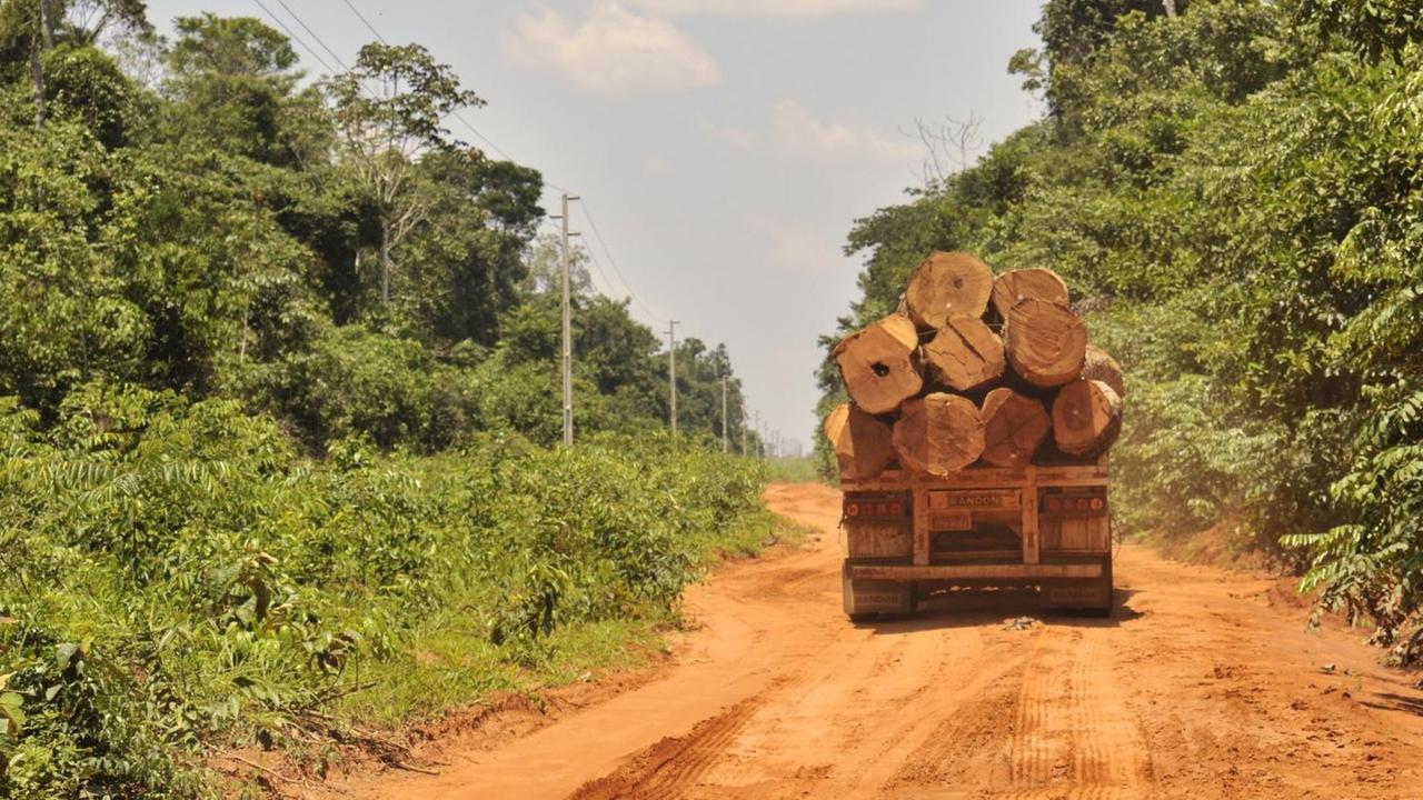 LKW transportiert Holz aus dem Amazonas Regenwald, Abholzung, illegaler Holzeinschlag, Mato Grosso, Brasilien, Südamerika