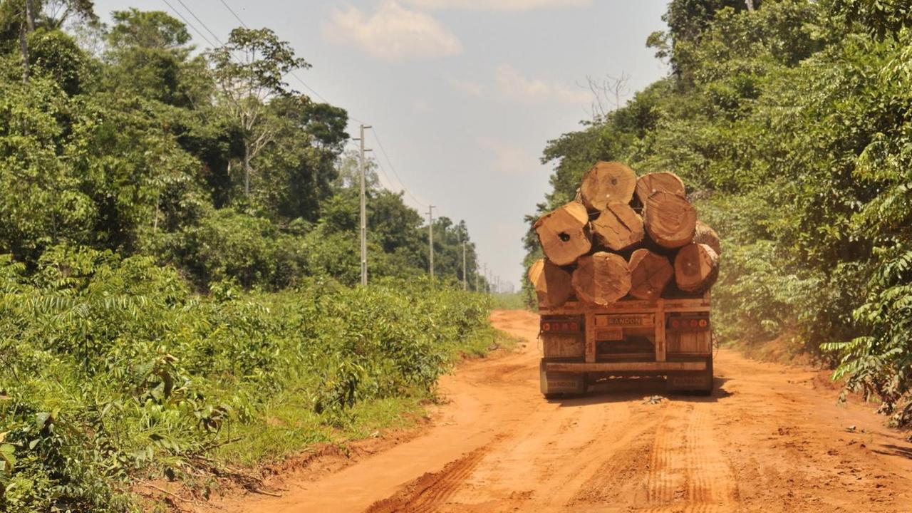 LKW transportiert Holz aus dem Amazonas Regenwald, Abholzung, illegaler Holzeinschlag, Mato Grosso, Brasilien, Südamerika LKW transportiert Holz aus dem Amazonas Regenwald, Abholzung, illegaler Holzeinschlag, Mato Grosso, Brasilien, Südamerika