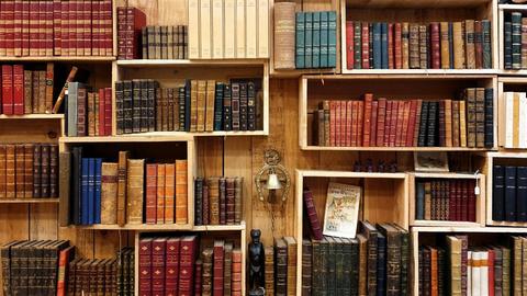In einer Regalwand aus Holzkästen stehen alte Bücherbände.