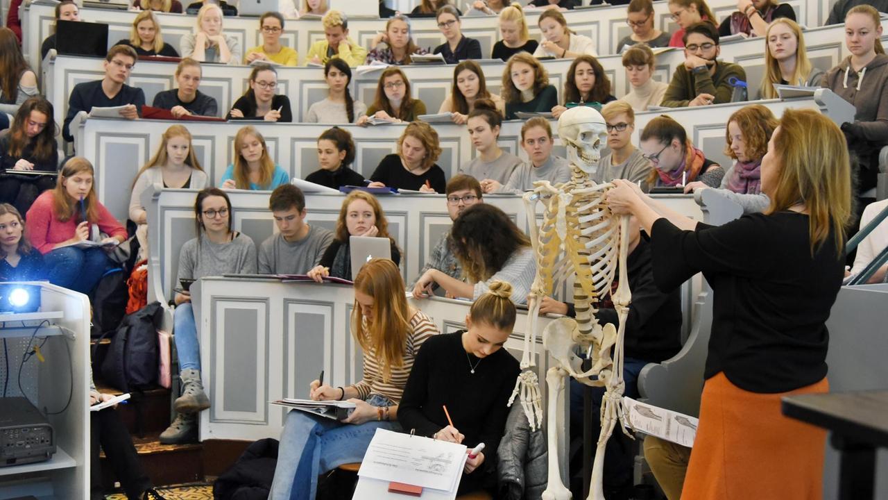 In einem Anatomie-Hörsaal der Medizinischen Fakultät an der Martin-Luther-Universität verfolgen Medizinstudenten eine Vorlesung. Es sitzen deutlich mehr Frauen als Männer im Hörsaal.