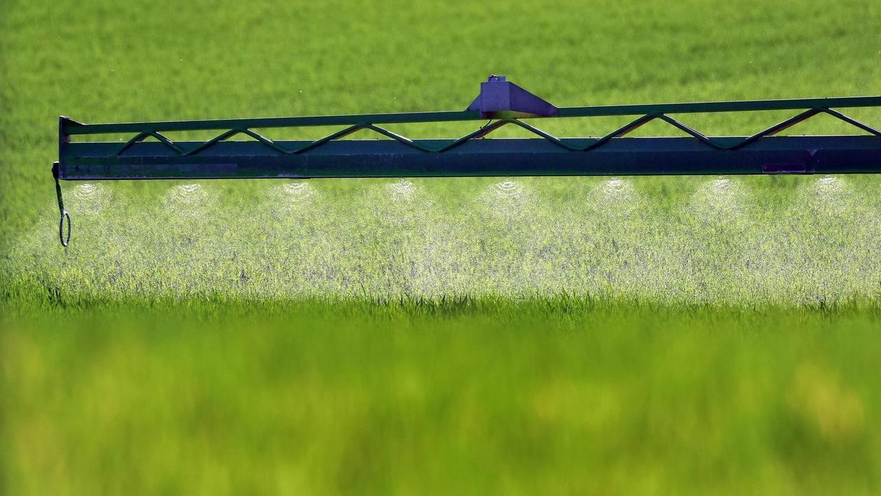 Ein Sprühfahrzeug spritzt auf einem Feld bei Rostock Ein Sprühfahrzeug spritzt auf einem Feld bei Rostock