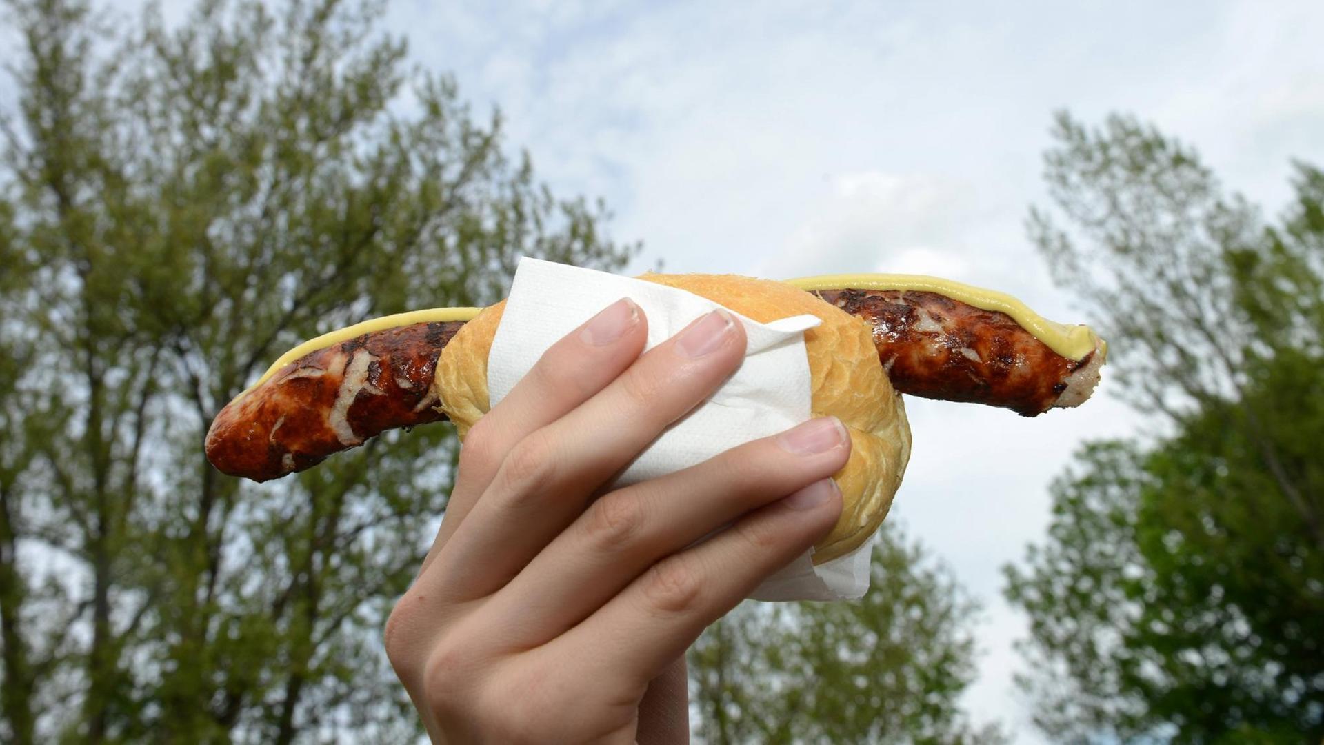 Eine Hand hält eine Thüringer Rostbratwurst im Brötchen mit Senf. Eine Hand hält eine Thüringer Rostbratwurst im Brötchen mit Senf.