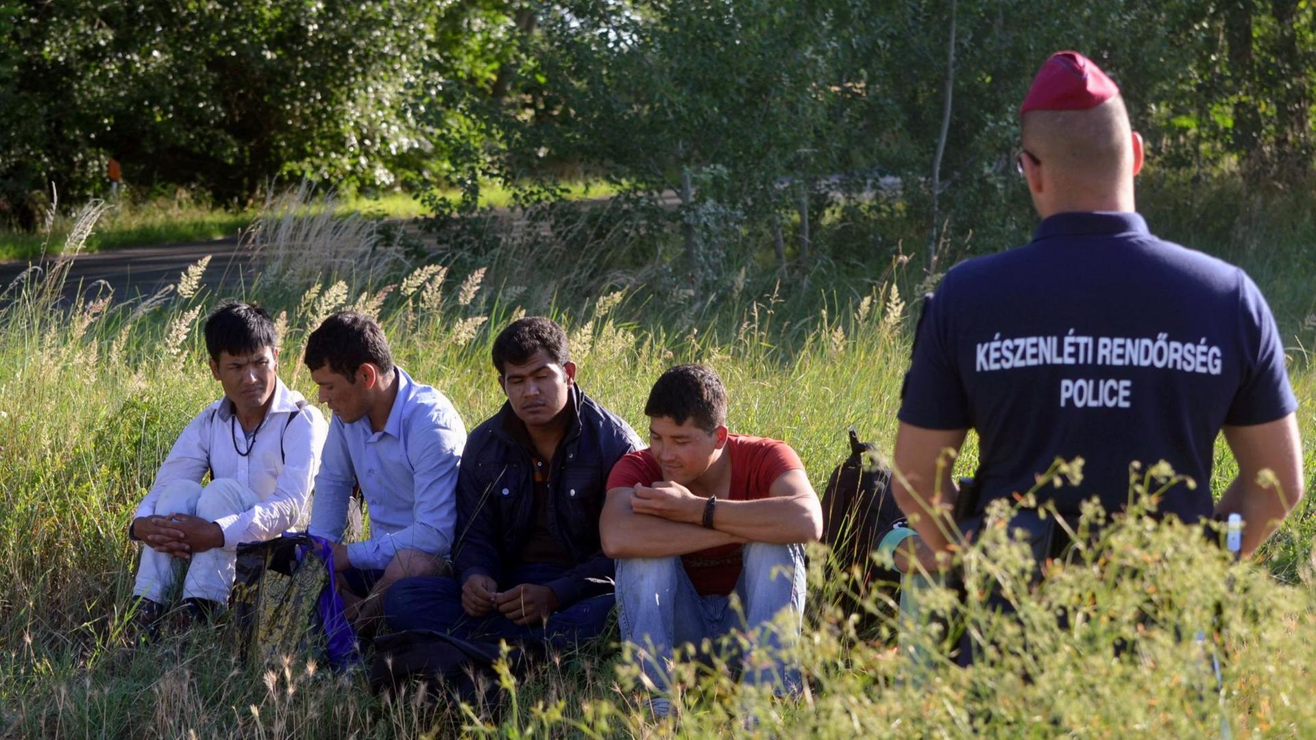 Eine Gruppe von Flüchtlingen an der grünen Grenze zwischen Serbien und Ungarn am 18.06.2015 Eine Gruppe von Flüchtlingen an der grünen Grenze zwischen Serbien und Ungarn am 18.06.2015