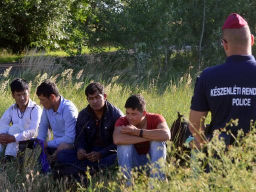 Eine Gruppe von Flüchtlingen an der grünen Grenze zwischen Serbien und Ungarn am 18.06.2015