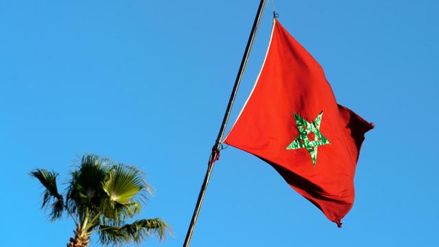 Die Fahne und die Spitze der Palme vor strahlend blauem Himmel von unten fotografiert.