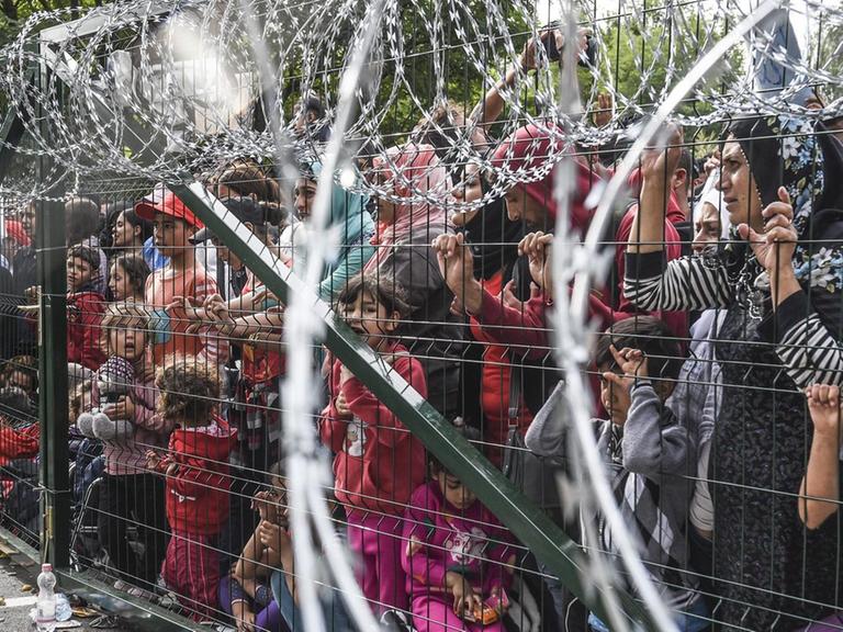 Geflüchtete hinter dem Zaun an der ungarisch-serbischen Grenze bei Horgos