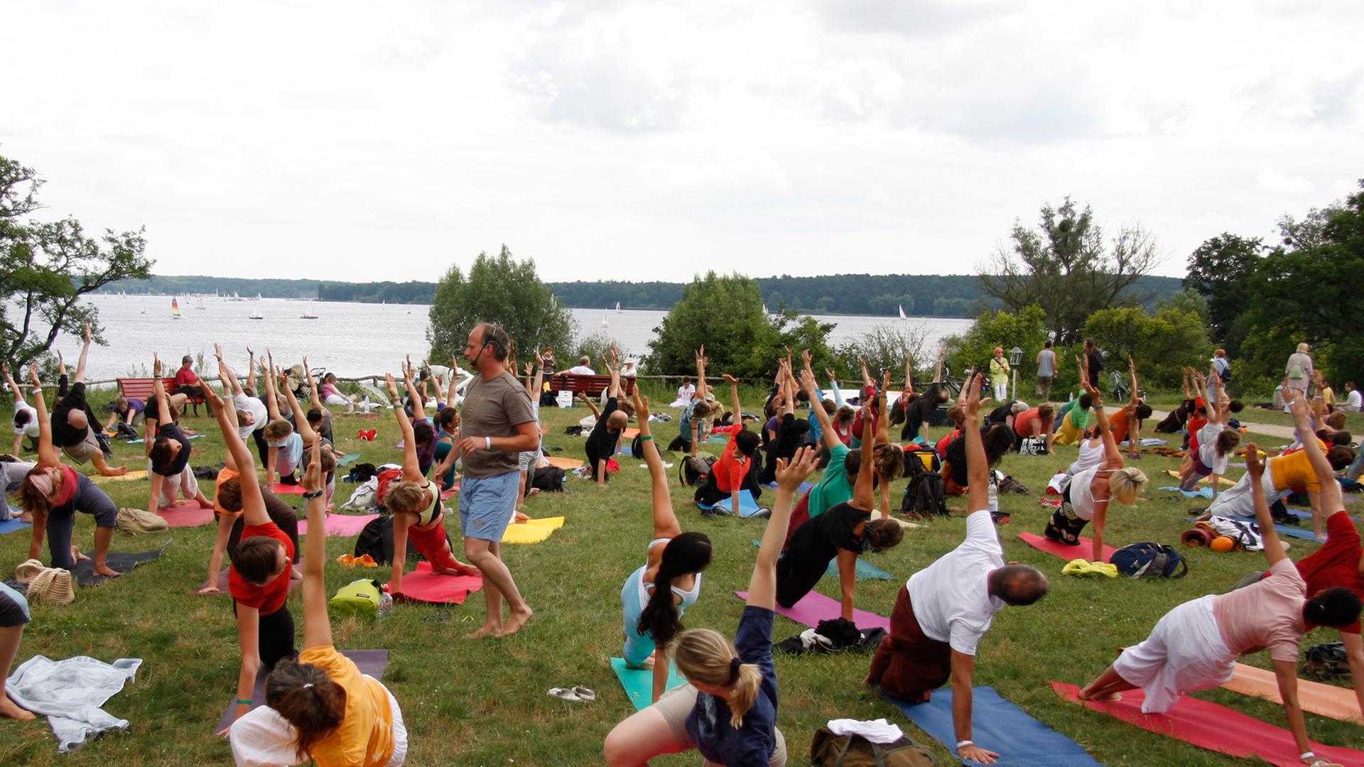 Auf einer Wiese praktizieren viele Menschen Yoga-Übungen auf Matten. Auf einer Wiese praktizieren viele Menschen Yoga-Übungen auf Matten.