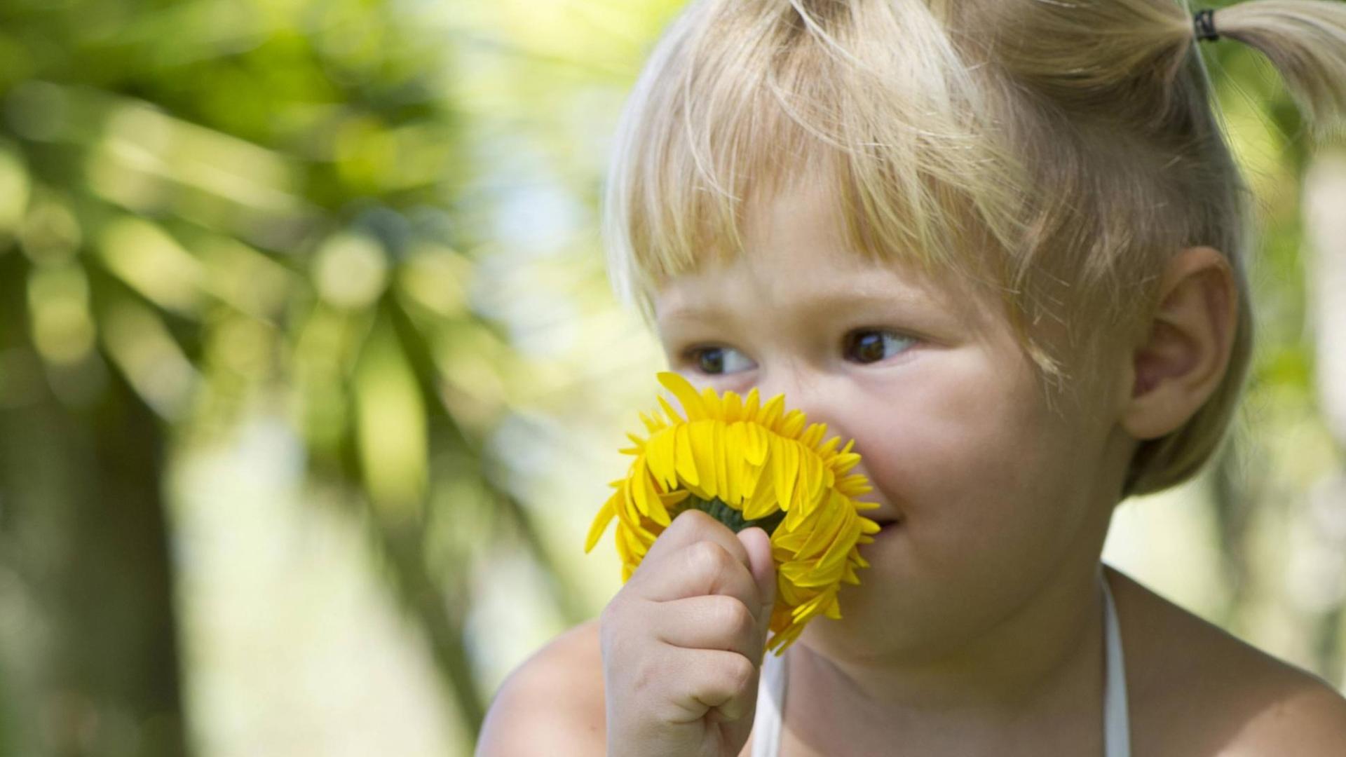 Ein Kind riecht an einer Blume.