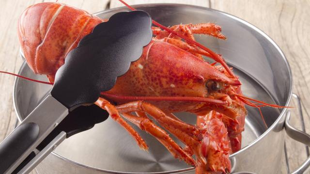 Cooked Lobster Is Taken From A Pot.
