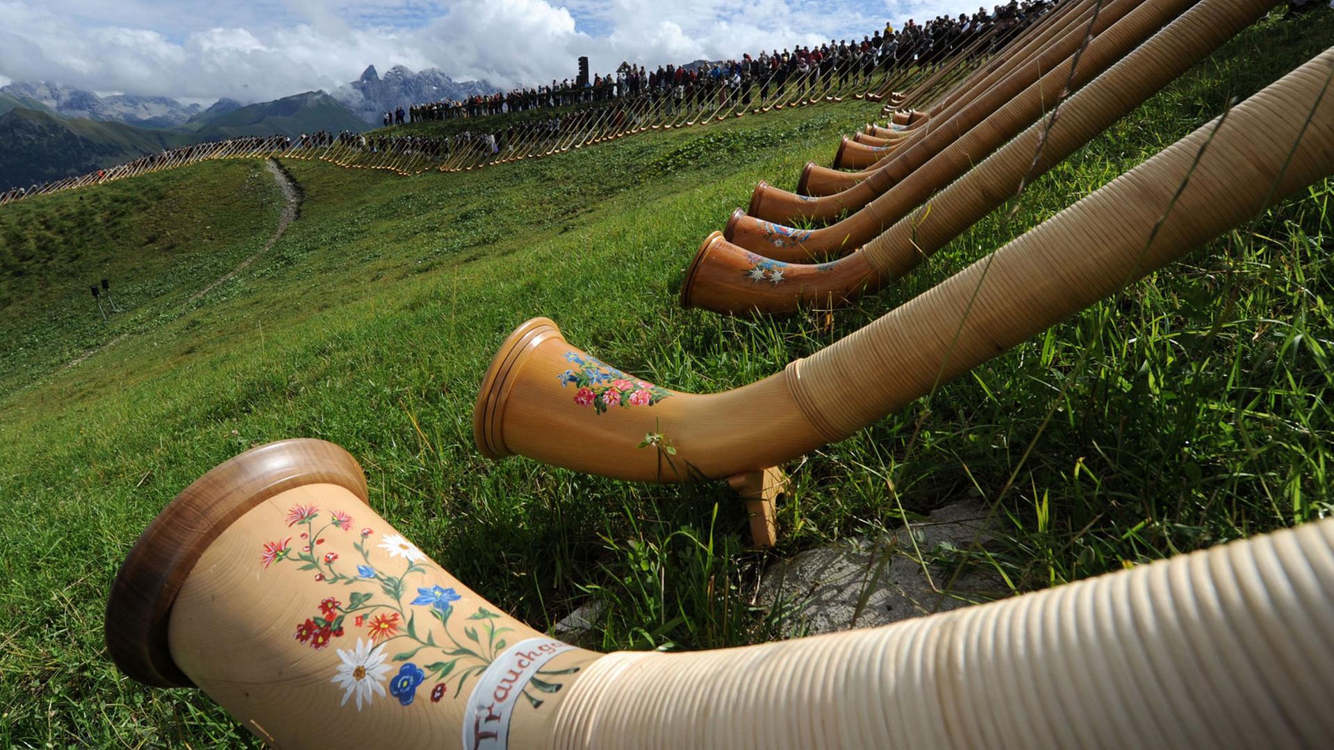 Das Bild zeigt viele Alphörner, die in der Berglandschaft gespielt werden Das Bild zeigt viele Alphörner, die in der Berglandschaft gespielt werden