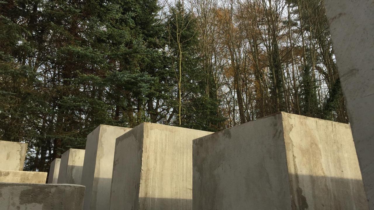 Das Berliner "Zentrum für politische Schönheit" hatte für eine Aktion das Nachbargrundstück von Björn Höcke angemietet und eine Nachbildung der Berliner Holocaust-Gedenkstelen aufgestellt.