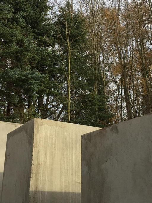 Das ist, was der AfD-Politiker Björn Höcke am 22. November 2017 sieht, wenn er aus dem Fenster sieht. Das Berliner Zentrum für politische Schönheit hat das Nachbargrundstück angemietet und eine Nachbildung der Berliner Holocaust-Gedenkstelen aufgestellt. Höcke hatte jenes Denkmal in einer Rede als "Denkmal der Schande" bezeichnet.
