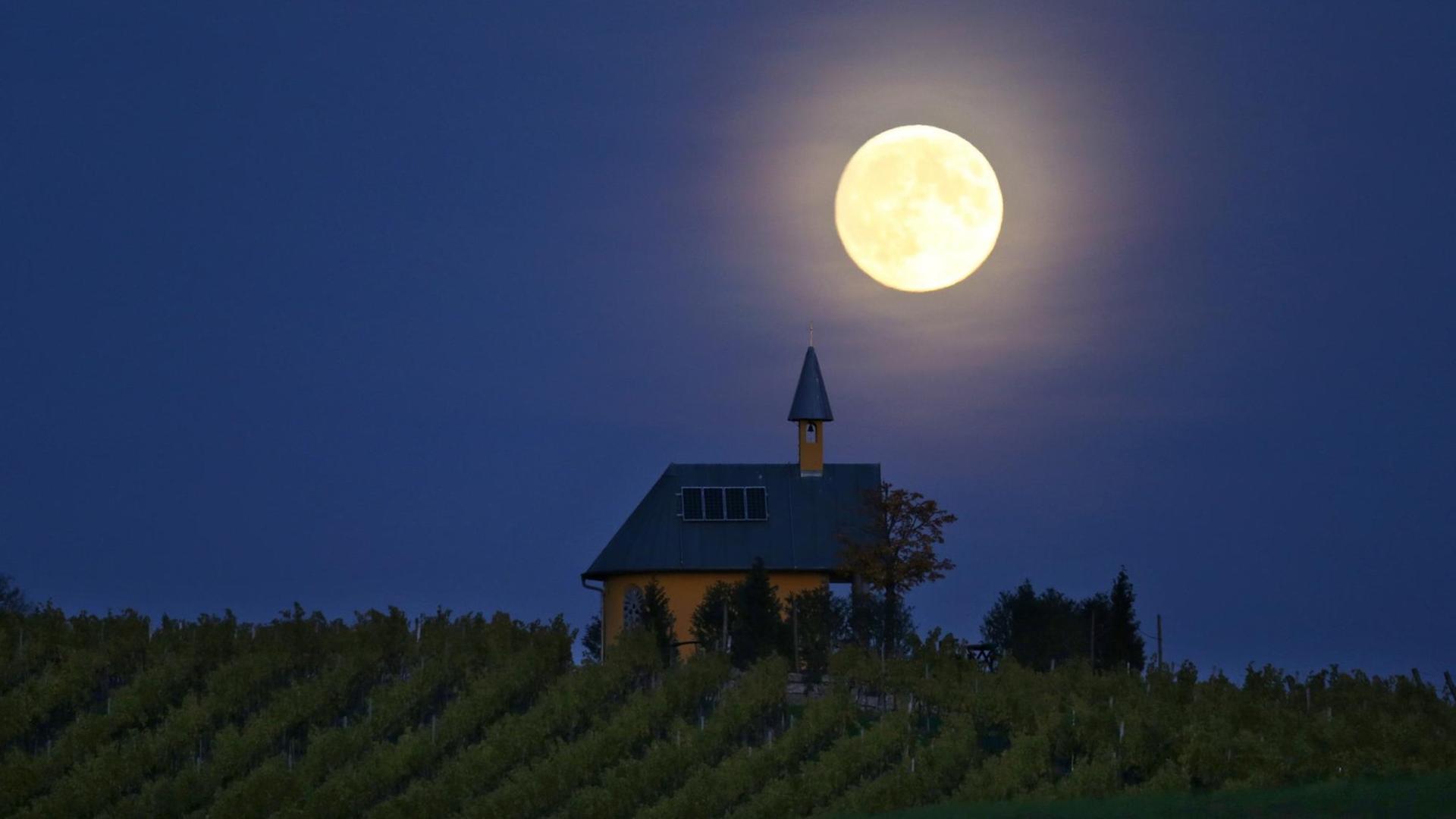 Der Vollmond Der Vollmond