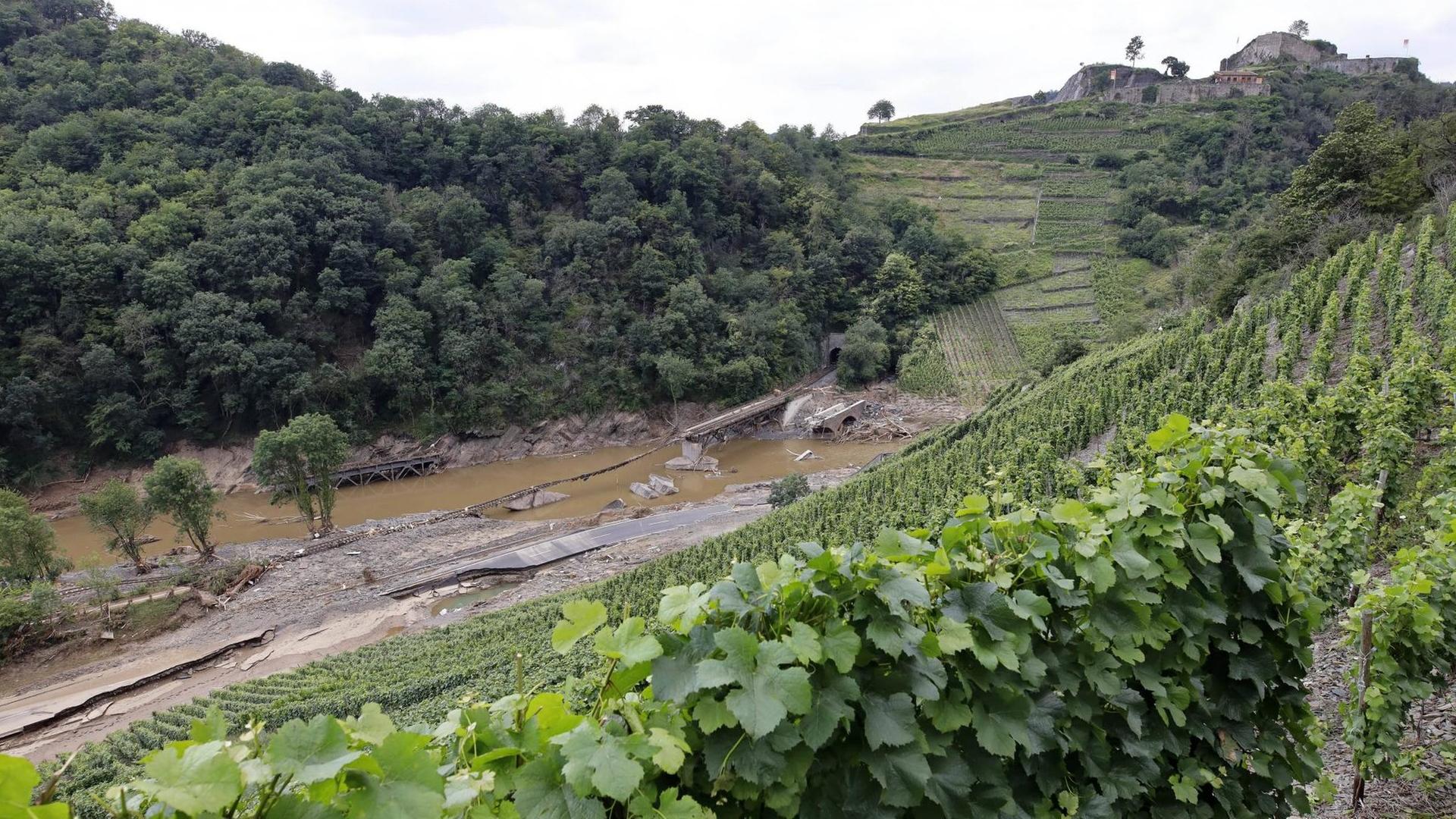 Ein Weinberg bei Rech an der vom Hochwasser zerstörten Bahnstrecke. Ein Weinberg bei Rech an der vom Hochwasser zerstörten Bahnstrecke.
