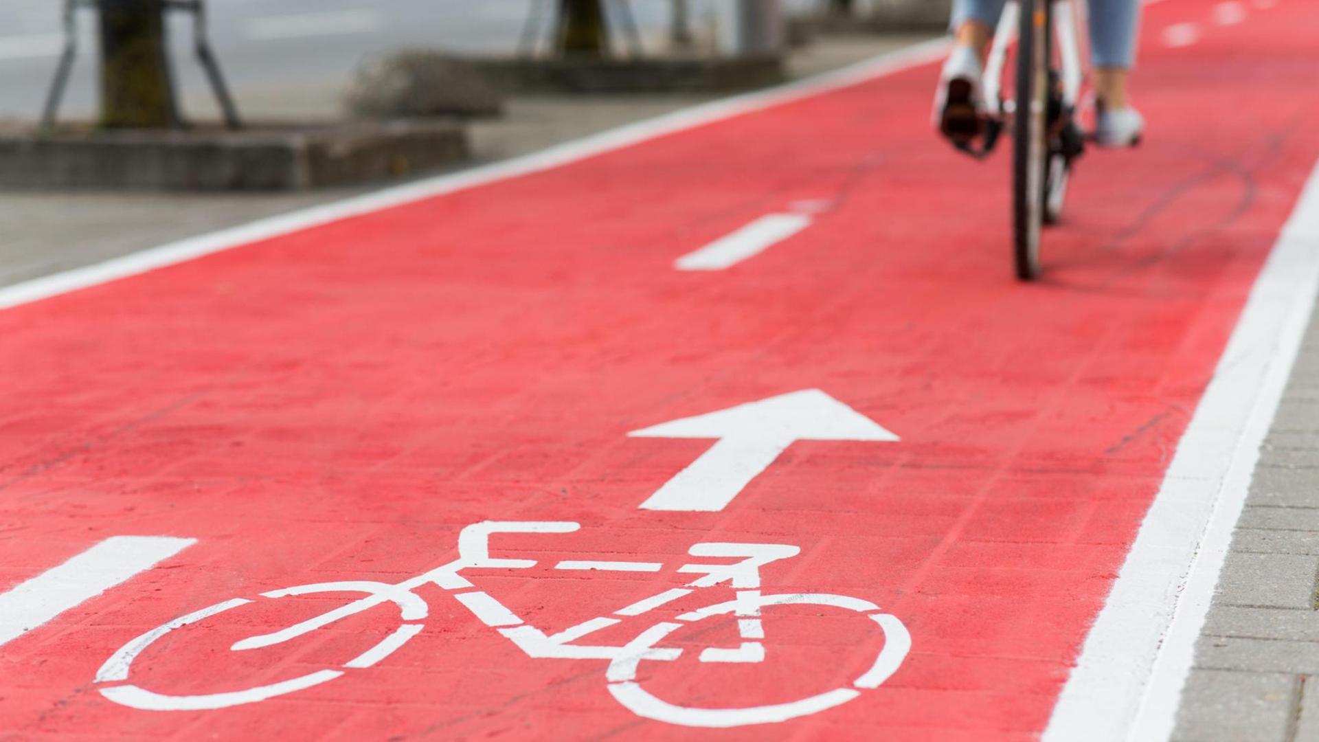 Eine Radlerin fährt auf einem rot gekennzeichneten Radweg entlang. Eine Radlerin fährt auf einem rot gekennzeichneten Radweg entlang.